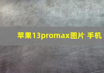 苹果13promax图片 手机